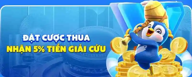 Tin tức